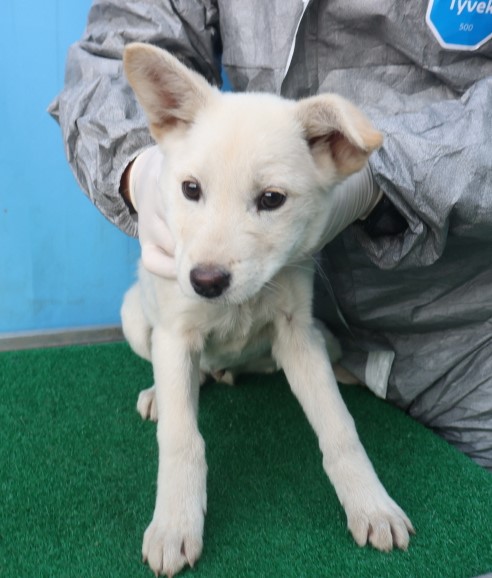 제주 동물보호센터_450650202403583